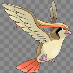 Pidgeot | Phoenix Rising Wiki | FANDOM powered by Wikia
