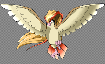 Pidgeot png 8 » PNG Image