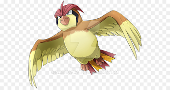 Pidgeotto Pokémon X and Y Pokédex - Pidgeot png download - 600*473 ...