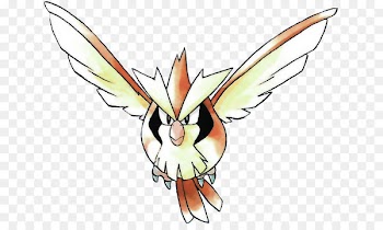 Pidgey Rattata Pidgeotto Ditto Zubat - pidgey map 