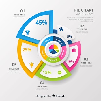 Pie chart infographic Free Vector