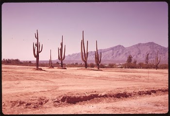 Piece of bulldozed desert on the edge | Free Photo - rawpixel