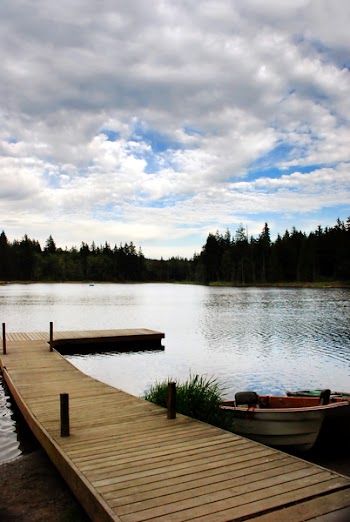 Pier081107.JPG