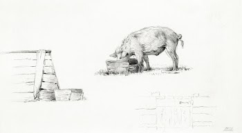 Pig (1823) drawing in high resolution by Jean… | Free public domain illustration