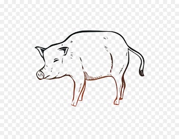 Pig Cattle Clip art Line art Cartoon -  