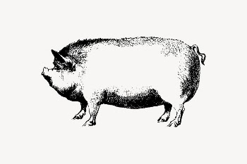 Pig clipart, farm animal illustration | Free Vector Illustration - rawpixel