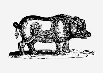 Pig clipart, farm animal vintage | Free Vector - rawpixel