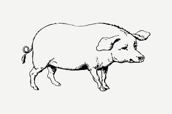 Pig collage element, black & | Free PSD Illustration - rawpixel