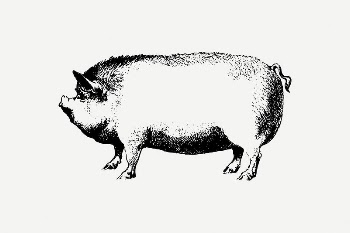 Pig collage element, farm animal | Free PSD Illustration - rawpixel