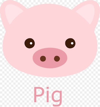 Pig, Dog, Whiskers, Pink, Nose PNG