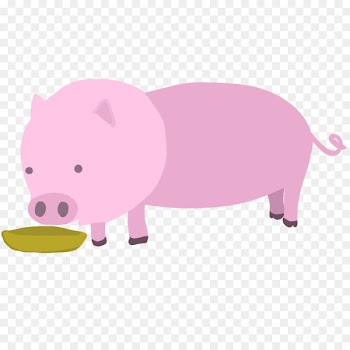 Pig, Domestic Pig, Pork, Pink PNG