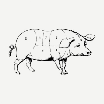 Pig drawing clipart, pork diagram | Free PSD - rawpixel