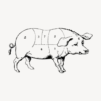 Pig hand drawn clipart, pork | Free Vector - rawpixel