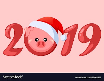 pig in santa claus hat