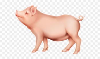 Pig Png Clip Art Image - Clipart Pig Png