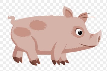 Pig png sticker, farm animal | Free PNG - rawpixel