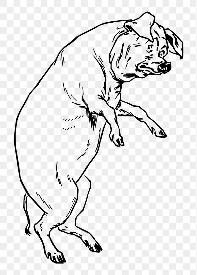 Pig png sticker illustration, transparent | Free PNG - rawpixel