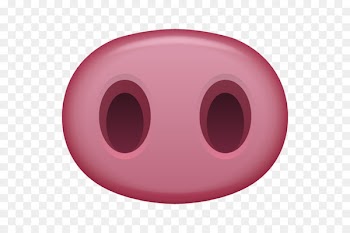 Pig Potenza Nose Snout Drawing - nose 