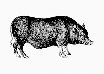 Pig shade drawing | Free stock vector - 562486