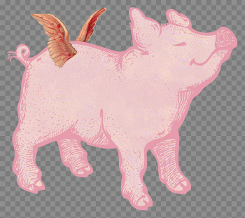 Pig With Wings Png