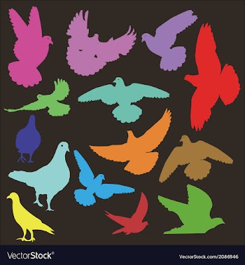 Pigeon 1 vector image