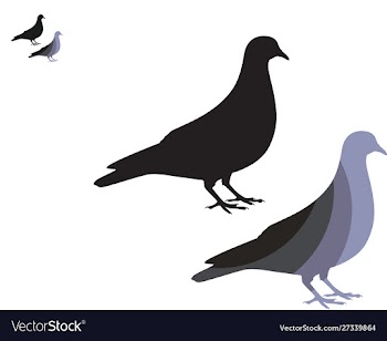 Pigeon logo design vector image
