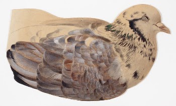 Pigeon, study, by Ferdinand von | Free Photo - rawpixel