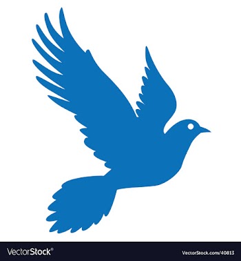 Pigeon vector image