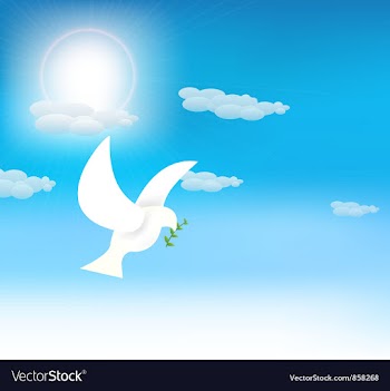 Pigeon with olive branch vector image