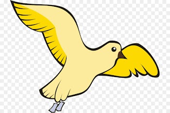 Pigeons and doves Homing pigeon English Carrier pigeon Bird Domestic canary - bird 