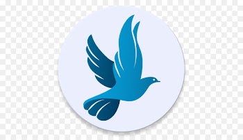 Pigeons and doves Racing Homer Logo Illustration Portable Network Graphics - bird 