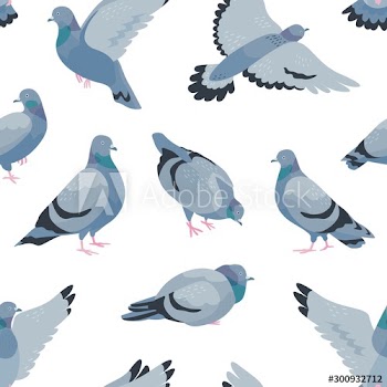 Pigeons flat vector seamless pattern