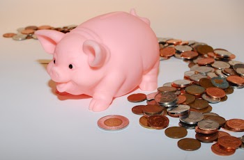 PiggyCoins2.jpg