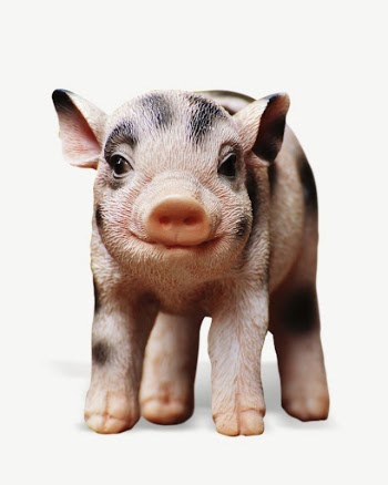 Piglet farm animal collage element | Free PSD - rawpixel