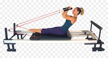 Pilates, Exercise, Physical Fitness, Exercise Equipment, Free Weight Bar PNG