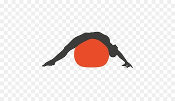 Pilates Exercise Silhouette Stretching - female fitness 