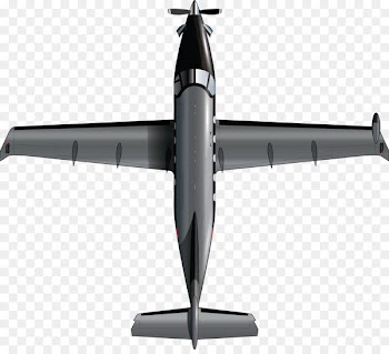 Pilatus PC-12 NG Propeller Aircraft Air Transportation - aircraft 