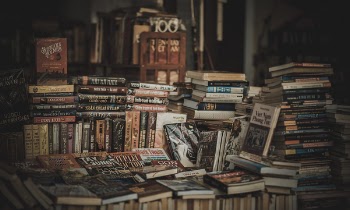 Pile of Assorted Novel Books