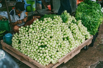 Pile of Bok Choy