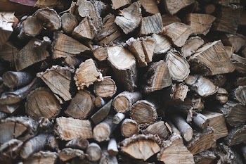 Pile of Chopped Logs