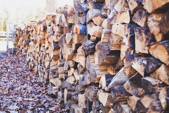 Pile of Dry Firewood Logs