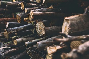 pile of firewood
