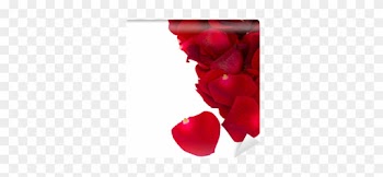 Pile Of Red Rose Petals Close Up Wall Mural • Pixers® - Garden Roses