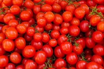 Pile of Red Tomatoes