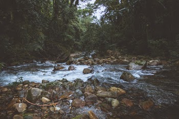 Pile of Rocks on River