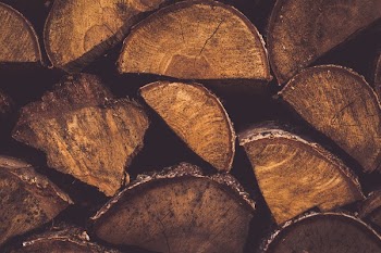 Pile of Wood Logs