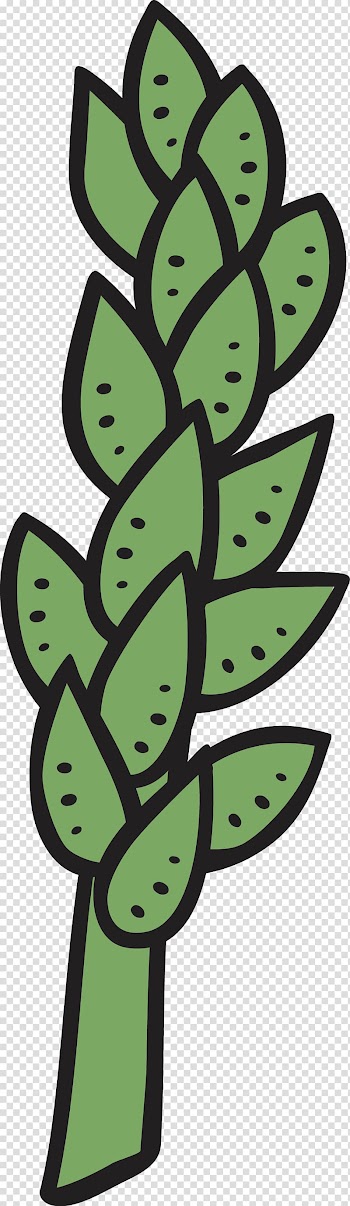 Pilosocereus Leaf Succulent plant , Tree cactus transparent background PNG clipart