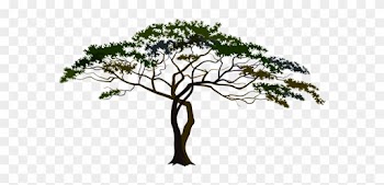 Pin African Tree Clipart - Savana Tree Png