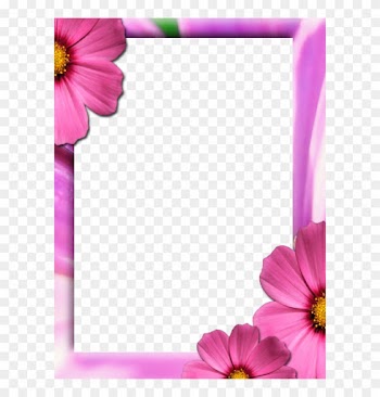 Pin Bunga Png Hawaii Dermatology On Pinterest - Picture Frame