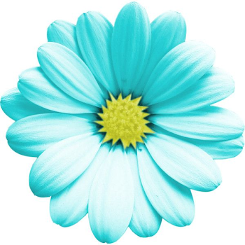 Pin by claren ward on My Polyvore Finds | Pinterest | Blue flower ...